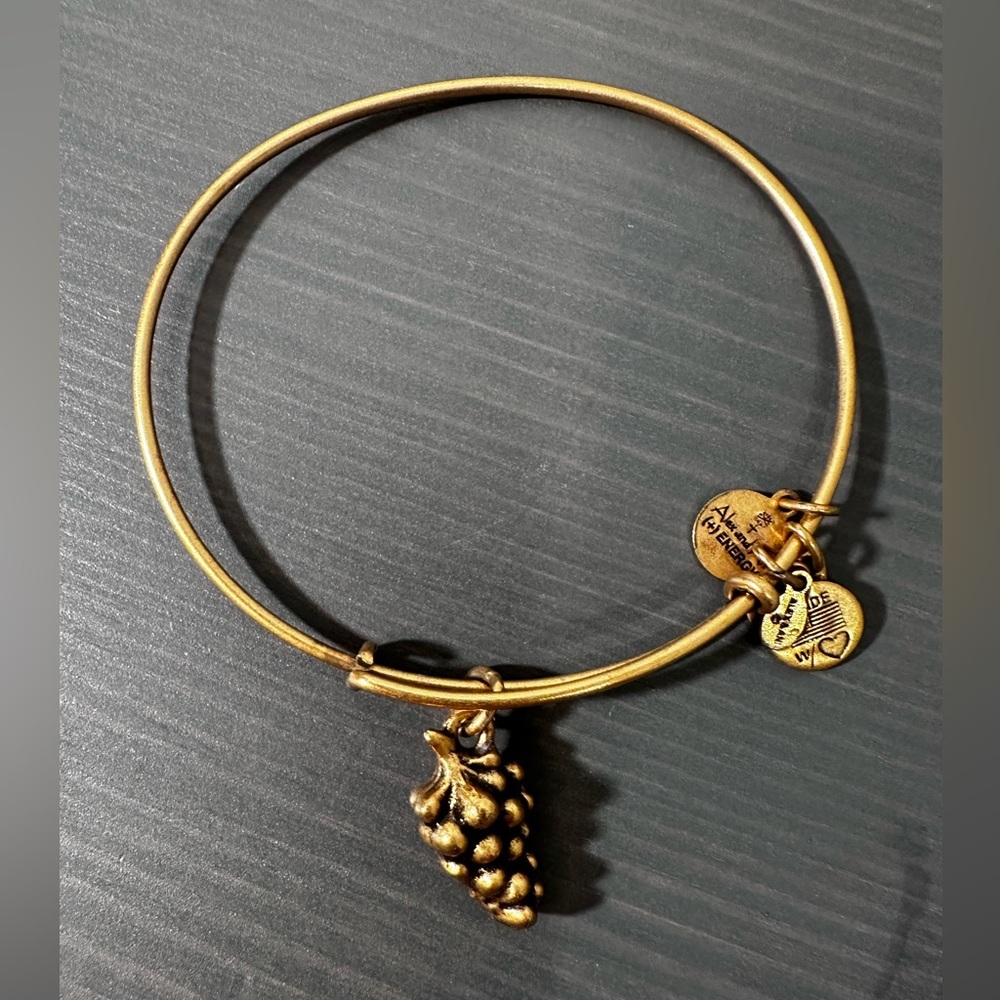 🔥Alex and Ani grape bracelet
